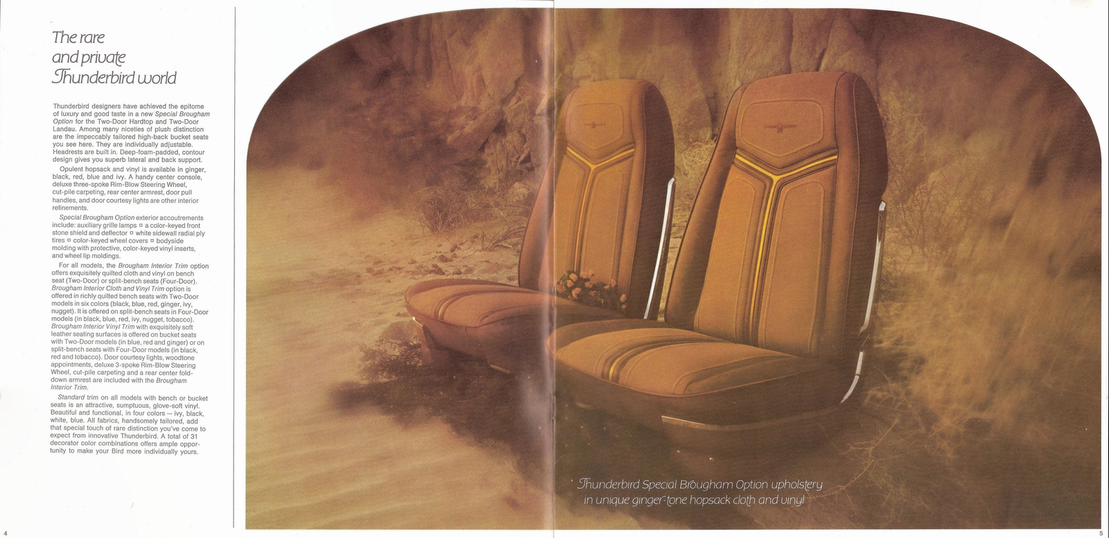 n_1970 Ford Thunderbird-04-05.jpg